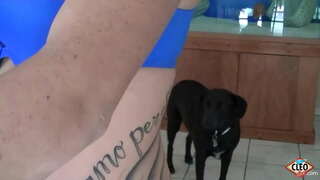 Силно конфекционирани боя красавеца Го Cleo обича да подадете ръка за помощ, когато голям пенис се нуждае от отстраняване на стрес, дори повече, ако тя може да е топла сперма на всичките си цици! Толкова сладък! Пълен Видео и Всички го Cleo @ ItsCleoLive.com !